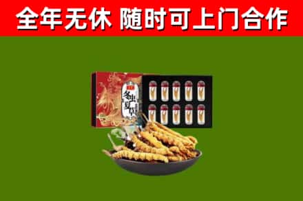 舞阳回收冬虫夏草价格