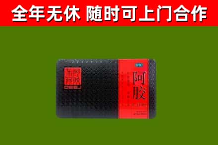 舞阳回收阿胶