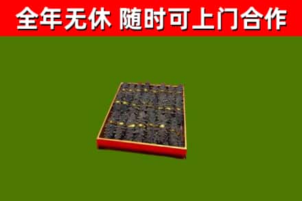 舞阳回收海参